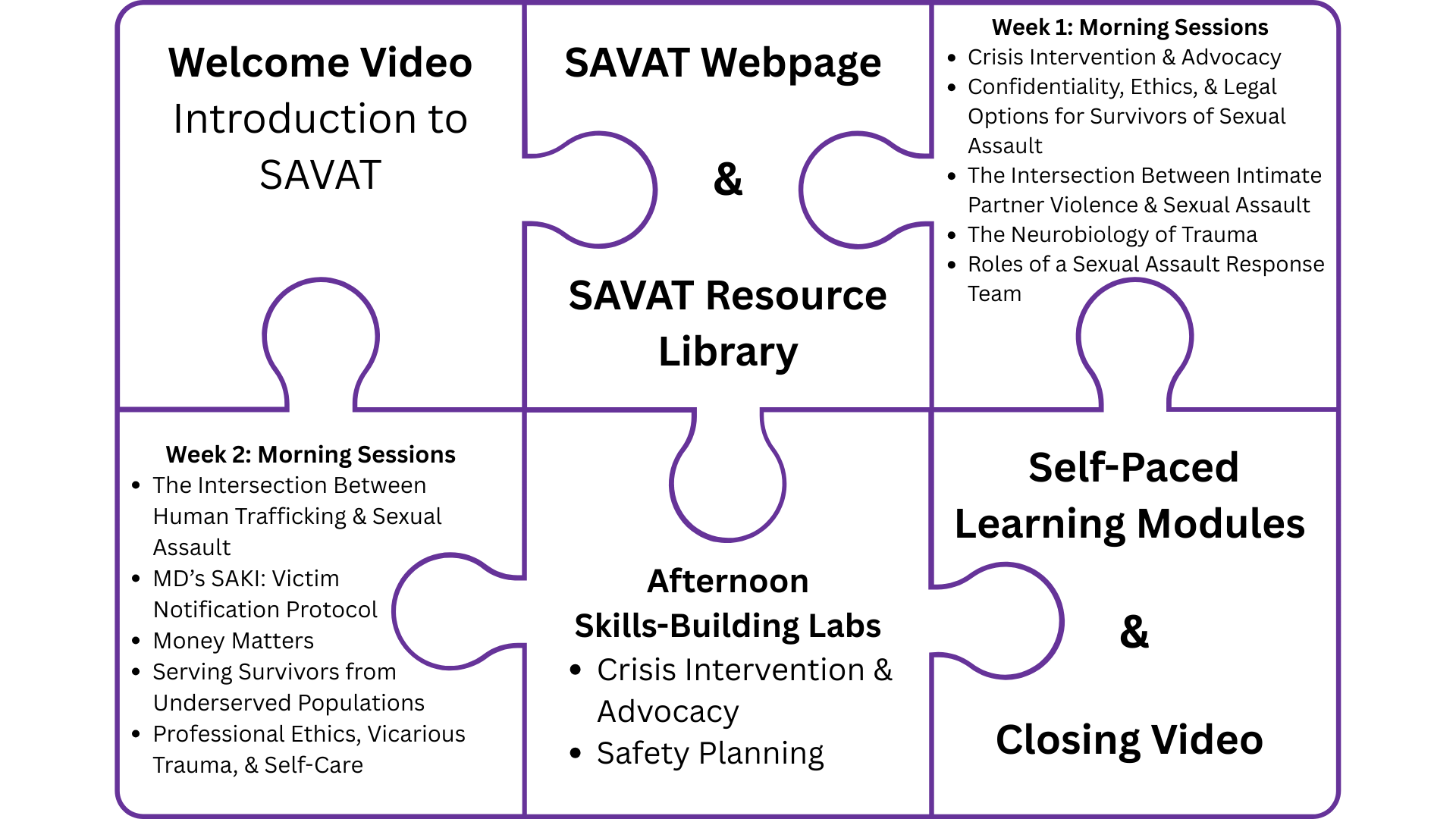 Illustration of a puzzle with 6 pieces showing the individual parts of this training series. From left to right, clockwise around the puzzle, text on the pieces reads: Welcome video, SAVAT webpage and resource library, week 1 morning sessions, self-paced learning modules, afternoon skills-building labs, week 2 morning sessions
